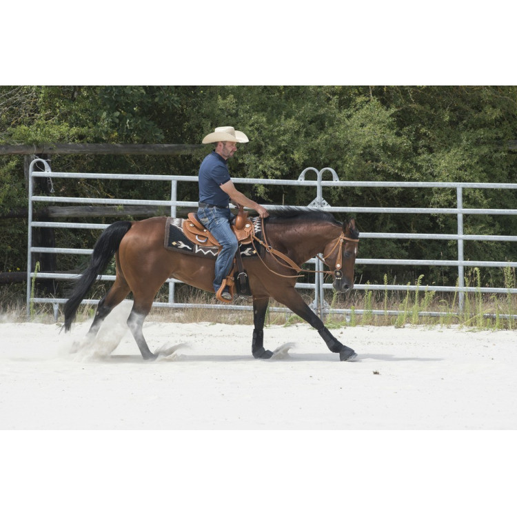 Selle Westride door Franck Perret Aurora Selle Westride door Franck Perret Aurora