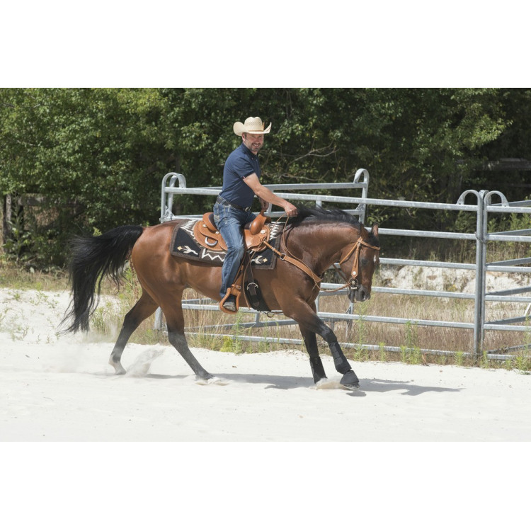Selle Westride door Franck Perret Aurora Selle Westride door Franck Perret Aurora