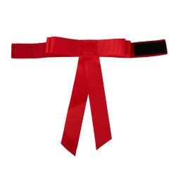Rood lint met klittenband