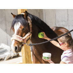 Émouchine Protec Gel Ravene pot + spons Émouchine Protec Gel Ravene pot + spons