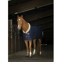 Mesh overhemd Equithème Teddy Marineblauw