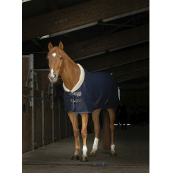 Mesh overhemd Equithème Teddy Mesh overhemd Equithème Teddy