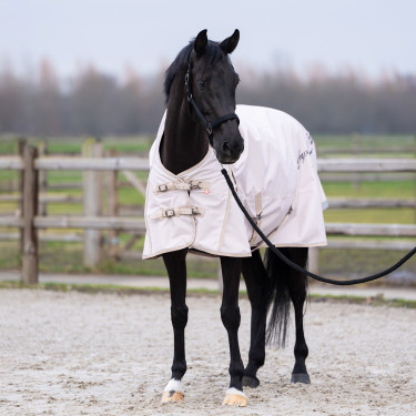 Paddockdeken voor Paarden - Waterafstotend & Licht