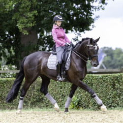 Dressuurdekje LeMieux Carbon Mesh Square Grijs