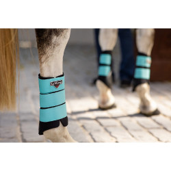 LeMieux Grafter Peesbeschermers LeMieux Grafter Peesbeschermers