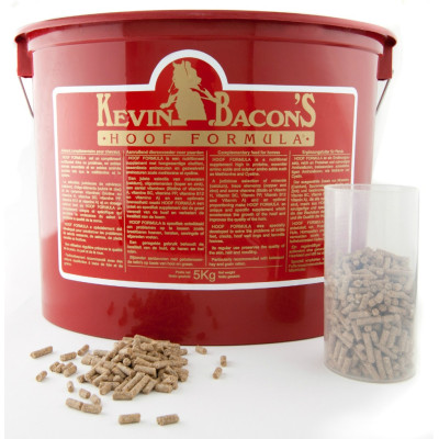 Kevin Bacon'S Hoef Formula