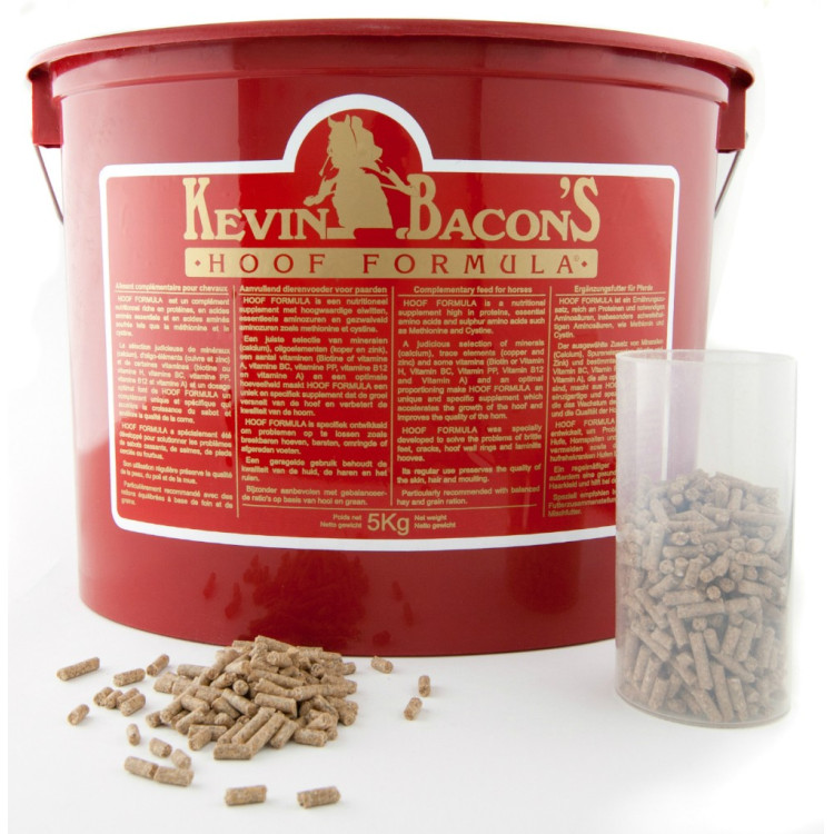 Kevin Bacon'S Hoef Formula