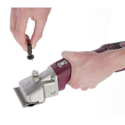 Torqui Aesculap Econom