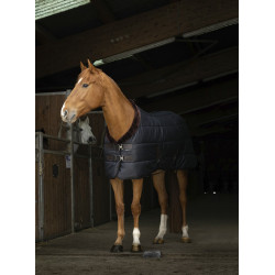 Staldeken Equithème Teddy