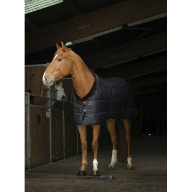 Staldeken Equithème Teddy