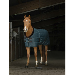 Staldeken Equithème Teddy Staldeken Equithème Teddy