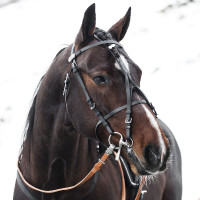 TRAINING IN BETA PRO Zwart