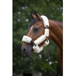 Set voor halster Equithème Teddy Set voor halster Equithème Teddy