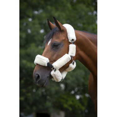 Set voor halster Equithème Teddy Set voor halster Equithème Teddy