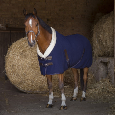 Chemise polaire Equi-Theme Teddy Bleu marine
