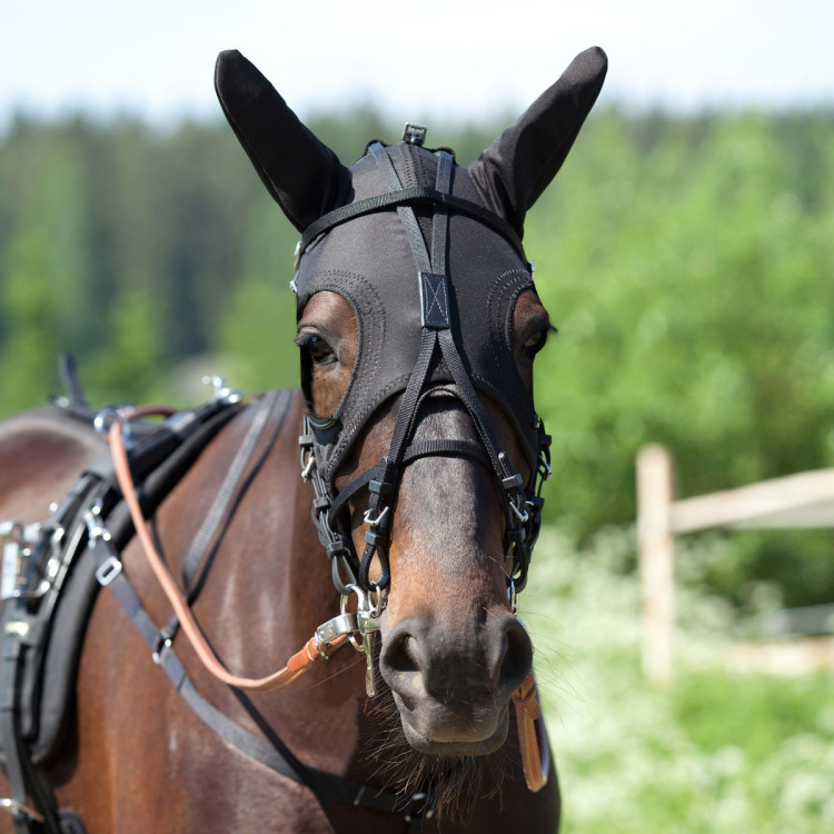 Muts met oren Finn-Tack Pro