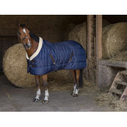 Staldeken Equithème Teddy Staldeken Equithème Teddy