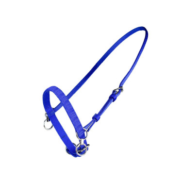 KLEIN NYLON HALSTER MET RING Blauw