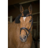Bridon Norton Pro Rock Zwart