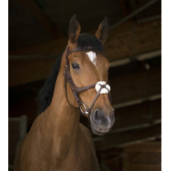 Bridon Norton Pro met kruisneusriem Bridon Norton Pro met kruisneusriem