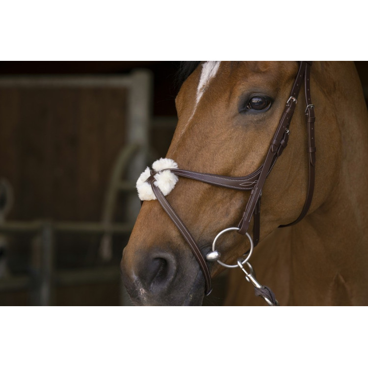 Bridon Norton Pro met kruisneusriem Bridon Norton Pro met kruisneusriem