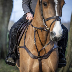 LeMieux DryTex Stormwear waterdichte chaps LeMieux DryTex Stormwear waterdichte chaps