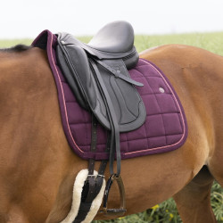 Zadeldek Equithème Suède Zadeldek Equithème Suède