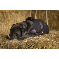 Polar fleece deken Diego & Louna Teddy Polar fleece deken Diego & Louna Teddy