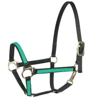 HALSTER BETA US 20 MM Groen