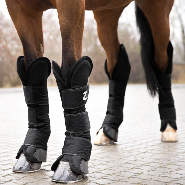Horze transportbeschermers paard – set van 4 | Equi-Clic