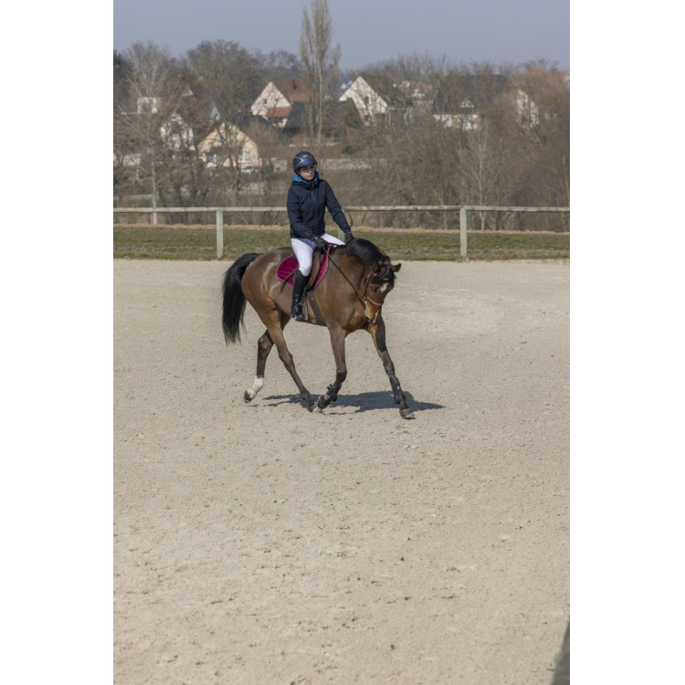 Pro Series Equilibre jas Pro Series Equilibre jas