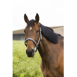 Halster Equithème Air Grijs