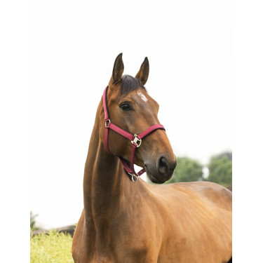 Halster Equithème Air Halster Equithème Air