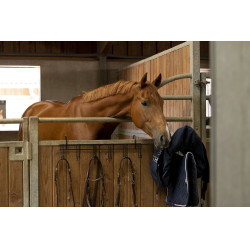 Hippotonic hoofdstelhanger 6 plaatsen, met haken Hippotonic hoofdstelhanger 6 plaatsen, met haken