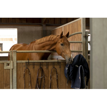 Hippotonic hoofdstelhanger 6 plaatsen, met haken Hippotonic hoofdstelhanger 6 plaatsen, met haken