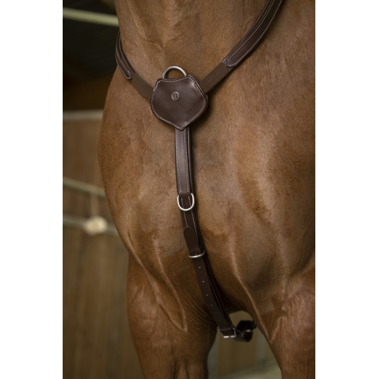 Jachtmartingaal Norton Pro Comfort Jachtmartingaal Norton Pro Comfort