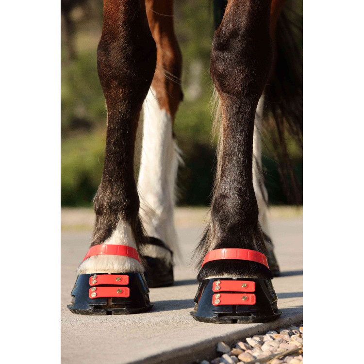 Voorste riemenpakket Scoot Boots Voorste riemenpakket Scoot Boots