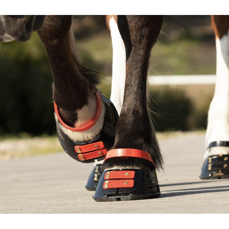 Voorste riemenpakket Scoot Boots Voorste riemenpakket Scoot Boots
