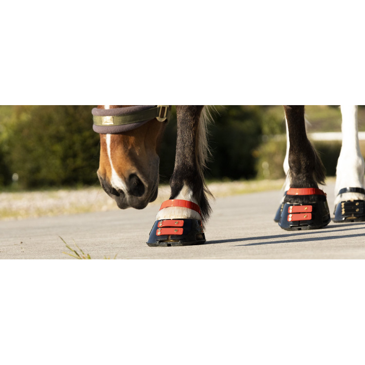 Voorste riemenpakket Scoot Boots Voorste riemenpakket Scoot Boots