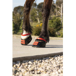 Voorste riemenpakket Scoot Boots Voorste riemenpakket Scoot Boots