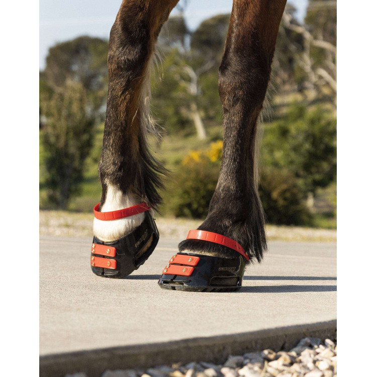 Voorste riemenpakket Scoot Boots Voorste riemenpakket Scoot Boots
