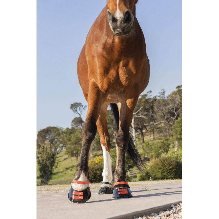 Voorste riemenpakket Scoot Boots Voorste riemenpakket Scoot Boots
