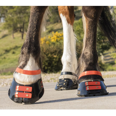 Voorste riemenpakket Scoot Boots Voorste riemenpakket Scoot Boots