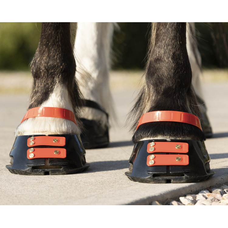 Voorste riemenpakket Scoot Boots Voorste riemenpakket Scoot Boots