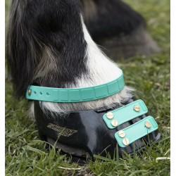 Voorste riemenpakket Scoot Boots Aquamarijn Blauw