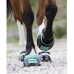 Voorste riemenpakket Scoot Boots Aquamarijn Blauw