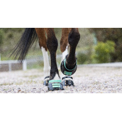 Voorste riemenpakket Scoot Boots Aquamarijn Blauw