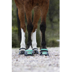 Voorste riemenpakket Scoot Boots Aquamarijn Blauw