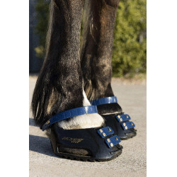 Voorste riemenpakket Scoot Boots Marineblauw