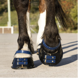 Voorste riemenpakket Scoot Boots Marineblauw